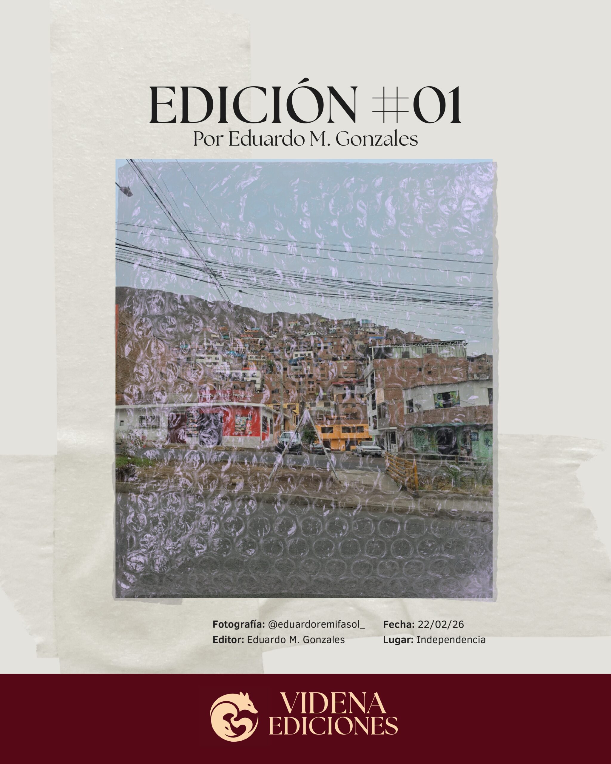 Portada Revista Vide N.º 1